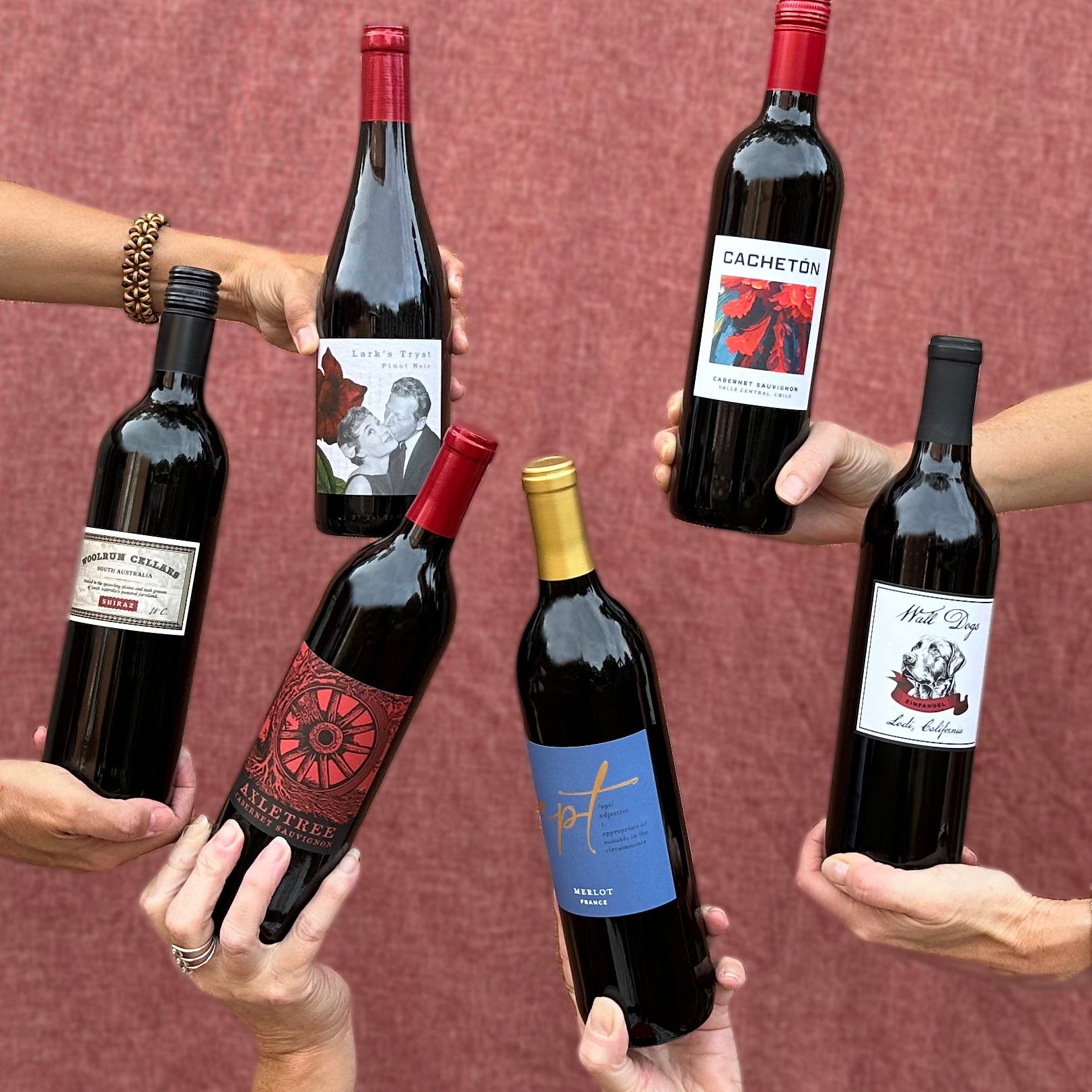 Dry Red Collection (10 bottles)