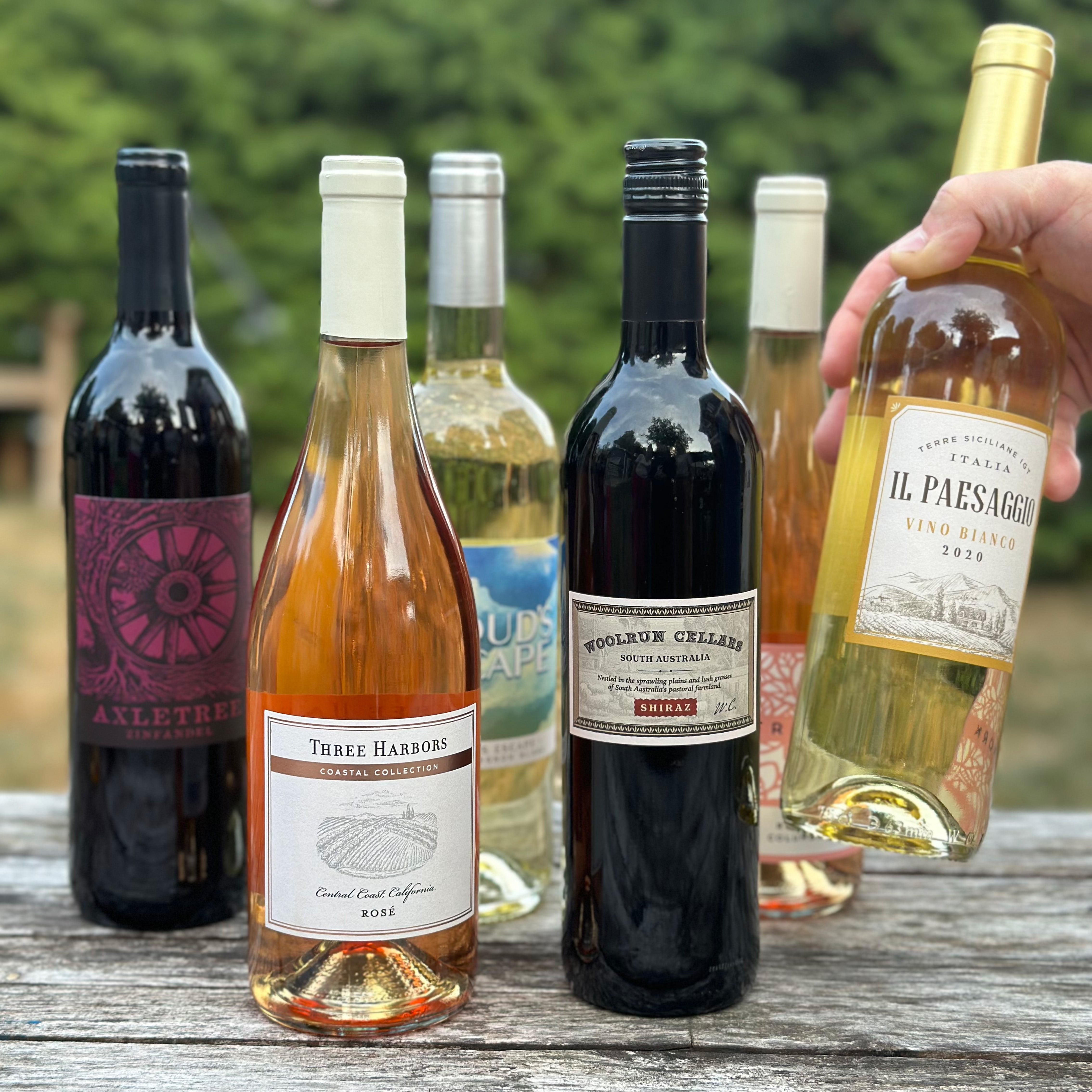 This and That: Red, White, and Rosé (6 Bottles)