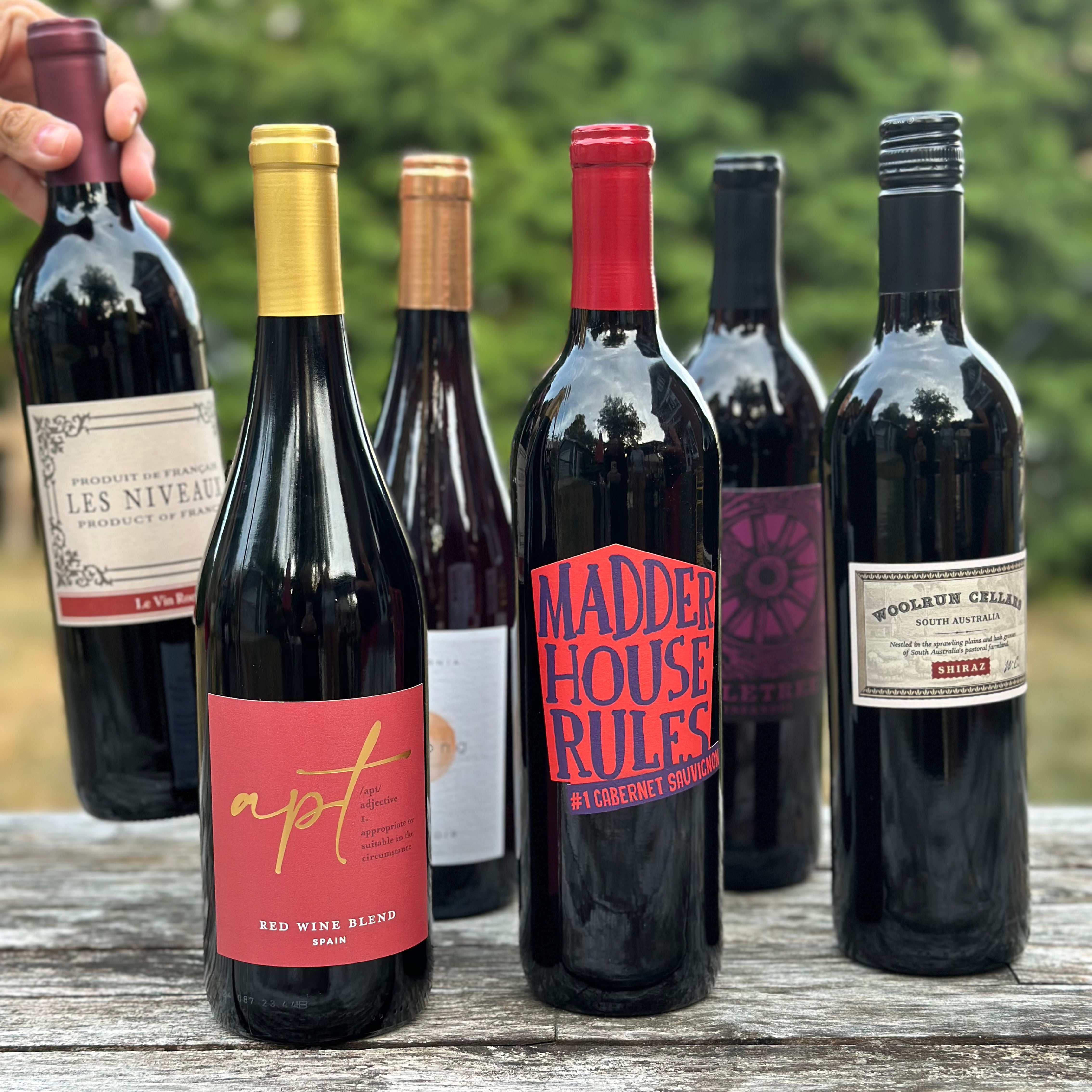 Delicious Dinner Party Reds (6 Bottles)