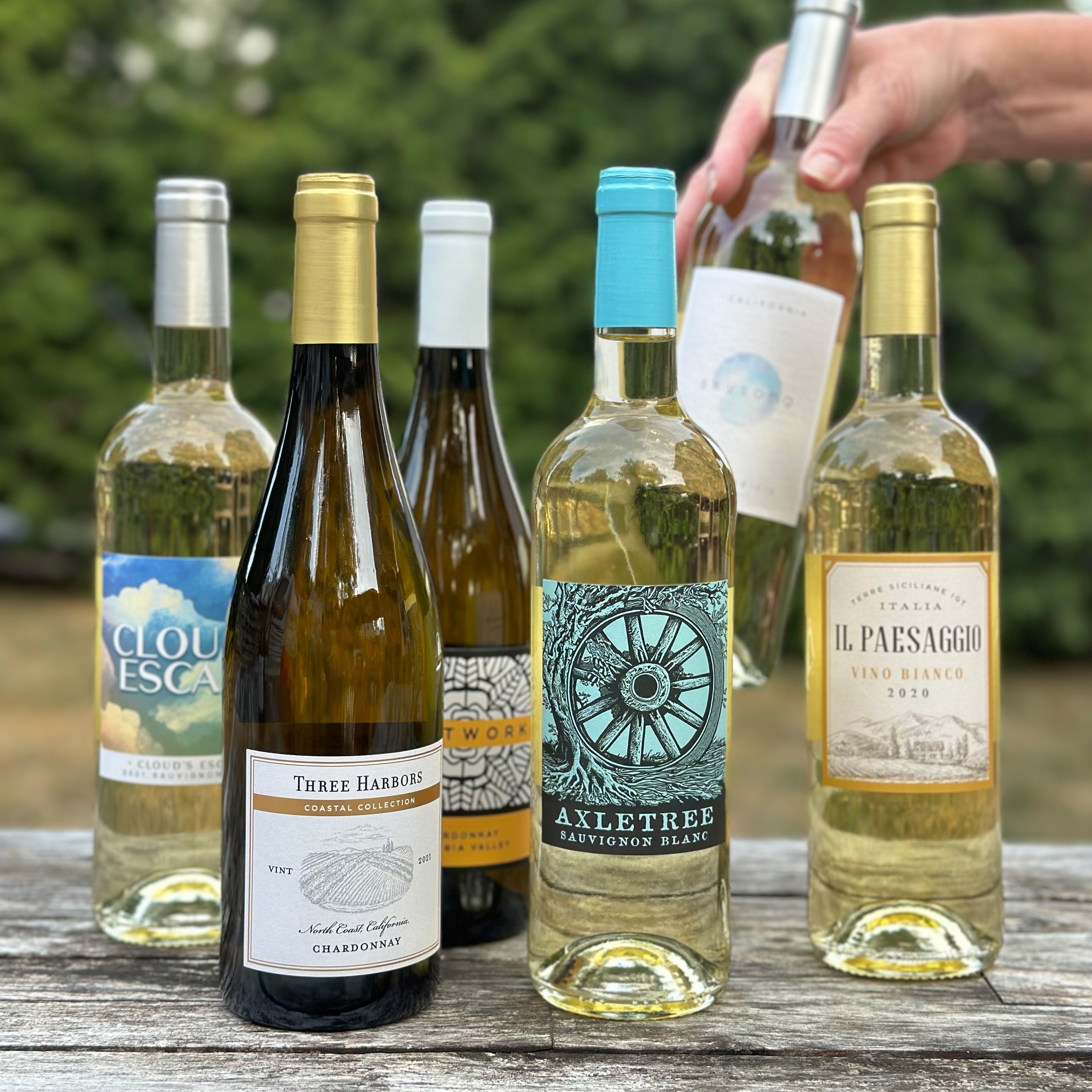 Crisp Whites for Autumn Nights (6 Bottles)